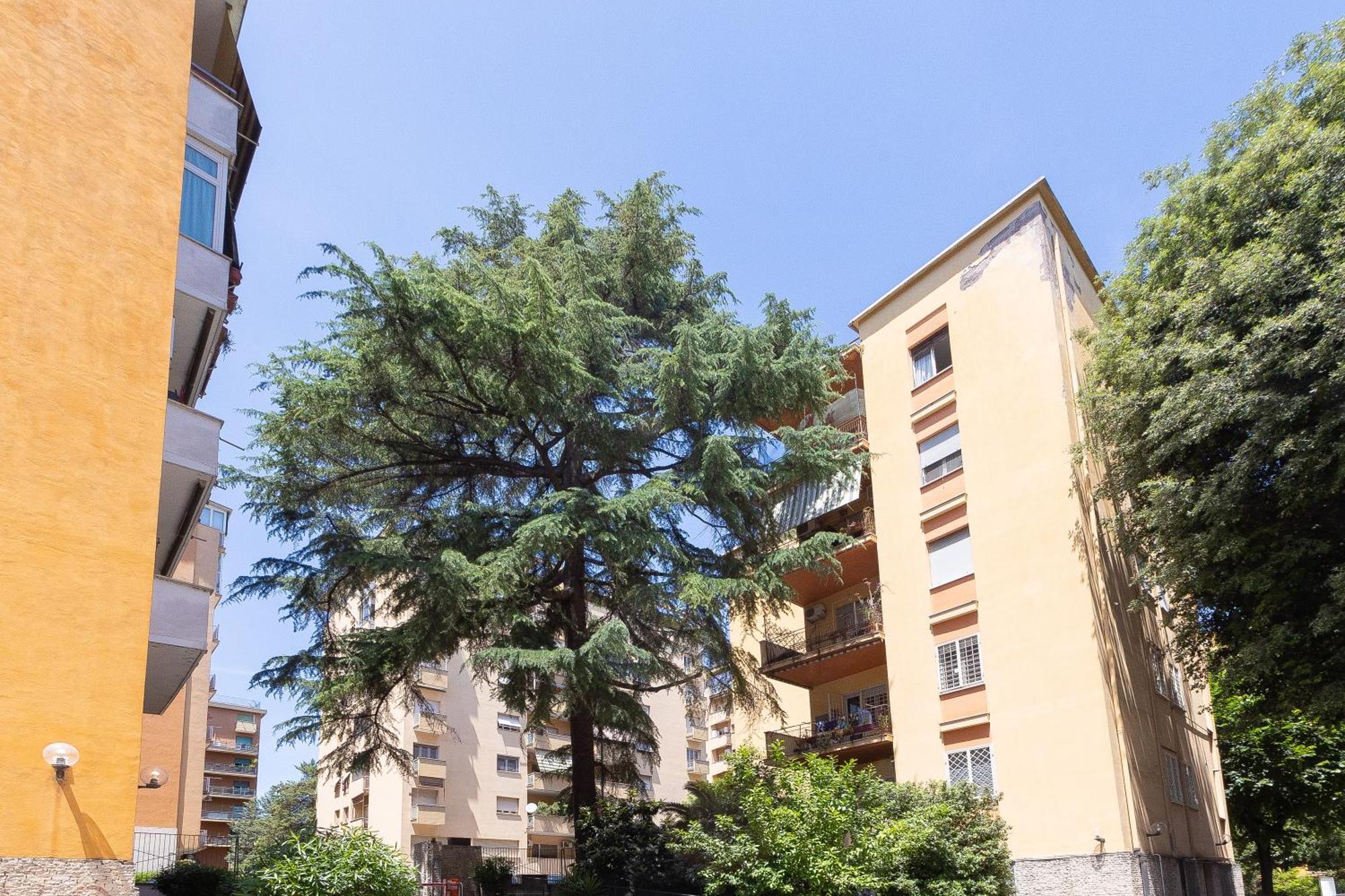 La Casa Di Rob E Cris Apartment โรม ภายนอก รูปภาพ